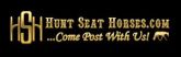 Hunt Seat Horse