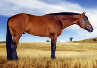 Gh Render