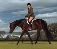 Milton Trot017